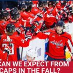 What does the Calder Cup win mean for players on the cusp of making the big team?  W/Hockey Troll