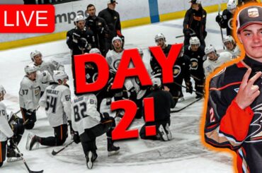 Anaheim Ducks 2023 Rookie Camp - Day 2 (Leo Carlsson, Zellweger, Mintyukov & more LIVE!)