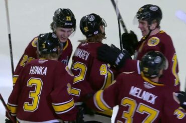 Game Highlights Feb. 18 Chicago Wolves vs. Cleveland Monsters
