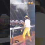 DJ Mika Zibanejad Tearing It Up At Lollapalooza Stockholm 🔊