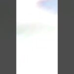 Ottawa Senators/Chicago Blackhawks Trade Analysis (Nikita Zaitsev Trade)