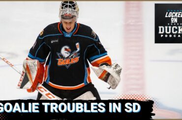 San Diego Makes a Trade, Rocco Needs Help!