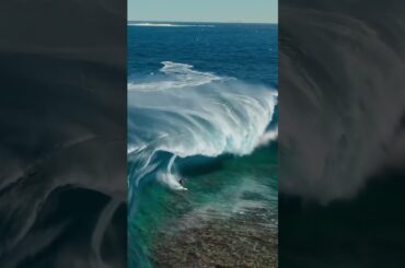 Monsters are real 🫣