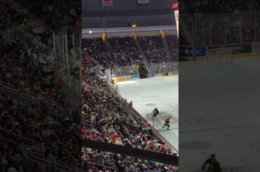The crowd's reaction when they came on the ice tho... #hersheybears #hockey