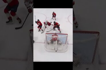 GOAL  Jesper Fast  Florida Panthers v Carolina Hurricanes 4-3  NHL  PLAY OFFS  2022 23#shorts