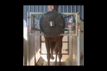 Renouf finishes her 2 weeks pre training with Bernie Lowe