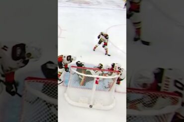 Stolarz, is that the "Scorpion"? 🦂