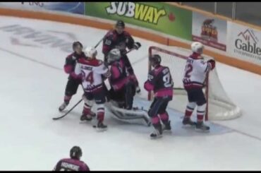 SEA DOGS VS WILDCATS OCT18 2014