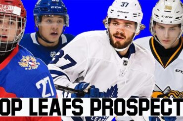 Looking Over The Toronto Maple Leafs' Prospect Pool (Good or Bad?)