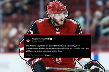 Alex Galchenyuk's NHL Career Might Be Over