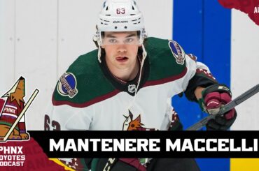 Arizona Coyotes sign RFAs Matias Maccelli, Ivan Prosvetov; no progress on Jan Jeník, Jack McBain