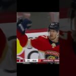 GOAL  Eetu Luostarinen  Florida Panthers v Pittsburgh Penguins  NHL 2022 23#shorts