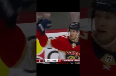 GOAL  Eetu Luostarinen  Florida Panthers v Pittsburgh Penguins  NHL 2022 23#shorts