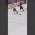 Radko Gudas narazil tak tvrdě, že se otevřely dveře od trestné 😱🫨 | Finále NHL #nhl #shorts