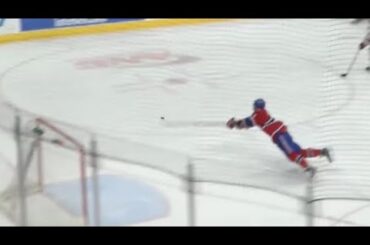 Unbelievable Hockey Saves