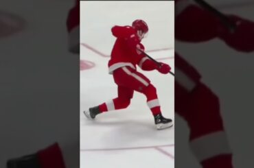 ZADINA TO THE SHARKS!