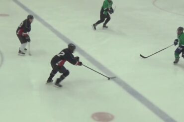 TGH Iceplex Over 50 Hockey Winter 2020 Week 11: Green Hornets vs. Black Aces Highlights (6-7-2020)
