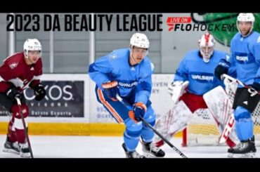 Da Beauty League Goals Of The Week: Vinnie Lettieri Hat Trick, Erik Haula Backhand Bar Down And More