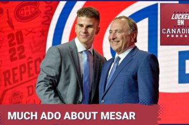 Montreal Canadiens prospects: can Filip Mesar regain confidence, pressing needs for Habs scouting
