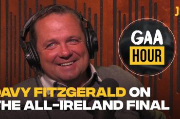 Hurling legend Davy Fitzgerald reviews Limerick's historic All-Ireland hurling final win