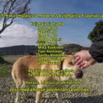 27Steps2Spain - 3/3 Jakso