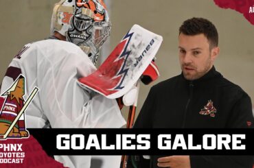 Arizona Coyotes goaltending development coach Charlie McTavish talks team’s glut of goalie prospects