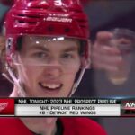 Detroit Red Wings Prospect Pool Breakdown