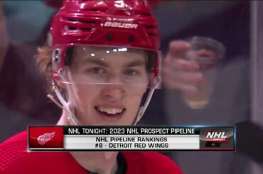 Detroit Red Wings Prospect Pool Breakdown