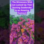 The Minnesota Wild Might Have Just Signed Filip Gustavsson to One of the Best Contracts in the NHL!