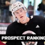 Breaking down the depth of the Arizona Coyotes’ prospect pool by position
