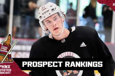 Breaking down the depth of the Arizona Coyotes’ prospect pool by position