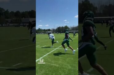 Aaron Rodgers Dot To Mecole Hardman 🎯