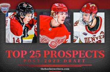 Devin's Top-25 Red Wings Prospects, Matching Up Against the Lightning & More - THW Grind Line