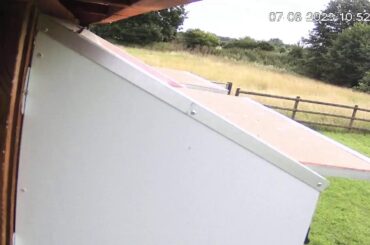 Jeremy Davies Live Stream