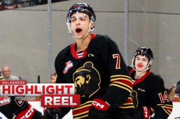 2022-23 Highlight Reel - Ty Halaburda