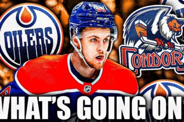 What's Going On With Philip Broberg? Is He Still Elite? Edmonton Oilers Top Prospects News & Rumours