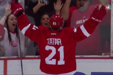 Tomas Tatar Goals (2014-2015)