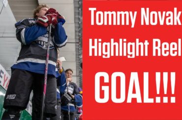 Thomas Novak Of The Nashville Predators Top Shelf Highlight Reel Goal | Da Beauty League