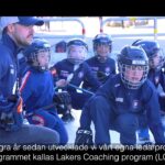 Växjö Lakers Ungdom