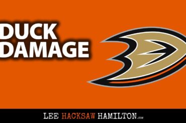 Anaheim Ducks: Troy Terry contract extension, Isac Lundestrom ruptured achilles tendon