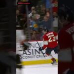 Verhaeghe OT goal lifts Panthers past Ducks short #shorts