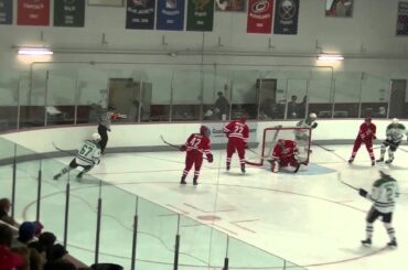 Jason Dickinson goal Traverse City