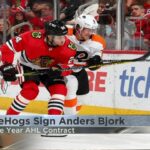 IceHogs Sign Anders Bjork to AHL Contract