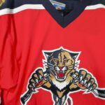 My Collection 2023 Edition: Florida Panthers