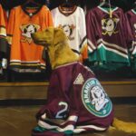 Ducks Dog Daisy Gets Her 30th Anniversary Jersey