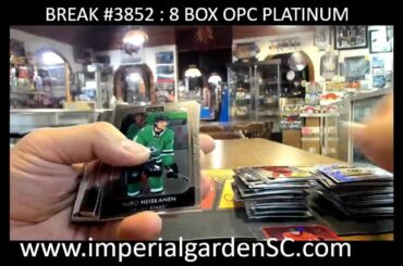 IMPERIAL GARDEN SPORTS DAILY STREAM! LETS GO!