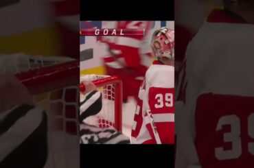 GOAL Connor Murphy Chicago v Red Wings 4-3 NHL 2022-23#shorts