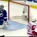 Tampa Bay lightings Brian Boyle and Detroit Red Wings Luke Glendening