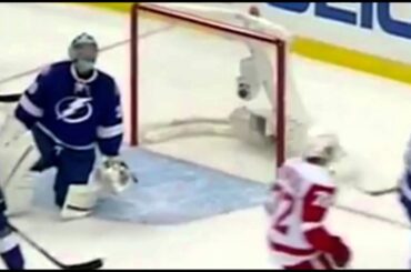 Tampa Bay lightings Brian Boyle and Detroit Red Wings Luke Glendening