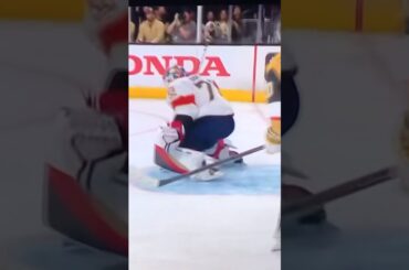 #21 Brett Howden (4) Backhand Goal.